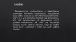 UAB “MSI” veiklos analizė ir valdymas pristatymas 3
