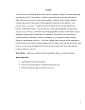 Mikro – ir makroekonomika referatas 3