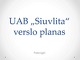 Verslo plano prezentacija