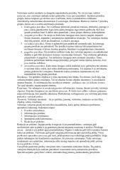 Rinkodara konspektas 3