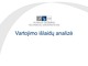 Vartojimo išlaidų analizė skaidrės
