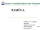 Pasiūla skaidrės