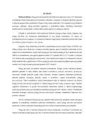 Pinigų plovimo prevencijos vertinimas 1