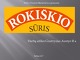 „Rokiškio sūris“ pelno analizės pristatymas