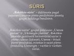 „Rokiškio sūris“ pelno analizės pristatymas 2