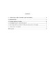 Lithuania: economic, people and tourism 