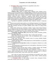 Tarptautinio verslo rizika 3