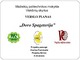 Verslo planas skaidrėse