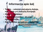 Turkijos pramonė 3