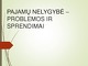 Pajamų nelygybė – problemos ir sprendimai 
