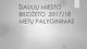 Šiaulių miesto biudžeto analizės pristatymas