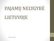 Pajamų nelygybė Lietuvoje 