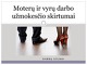 Moterų ir vyrų darbo užmokesčio skirtumai 