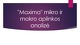 Maxima mikro ir makro aplinkos analizė