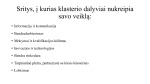 Klasteriai, startuoliai, technologijų parkai 3
