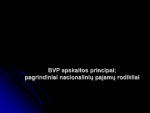 BVP apskaitos principai: pagrindiniai nacionalinių pajamų rodikliai 1