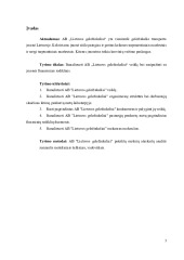 AB „Lietuvos geležinkeliai“ veikla ir finansiniai rodikliai 3