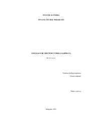 Smulkaus ir vidutinio verslo samprata 1