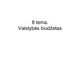 Skaidrės apie valstybės biudžetą