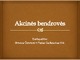 Akcinės bendrovės skaidrės