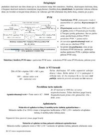 Mokesčių formulės 1