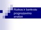 Rizikos ir bankroto prognozavimo analizė