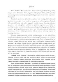 AB DNB bankas rinkodaros veiklos analizė 3