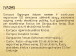 Es struktūriniai fondai skaidrės 2