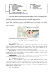 Paslaugų ekonomika Ergo 2