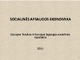 Socialinės apsaugos ekonomika Europos sąjungoje