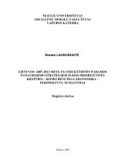 Lietuvos 2007-2013m. ES paramos panaudojimo strategijos. Magistro darbas 1