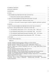 Lietuvos 2007-2013m. ES paramos panaudojimo strategijos. Magistro darbas 3
