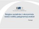 Belgijos socialinės ir ekonominės raidos rodiklių palyginamoji analizė skaidrės