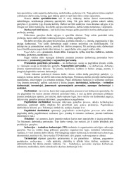Darbo organizavimas 2