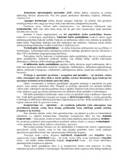 Darbo organizavimas 3