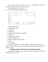 Kepyklos verslo planas Duonos kepimas 3