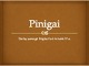 Pinigai pristatymas