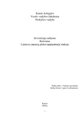 Investicijų valdymo referatas Lietuvos įmonių plėtra tarptautinėje rinkoje 1