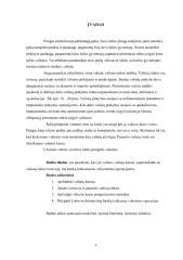 Valiutų rinka ir operacijos 3