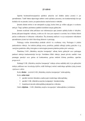 Marketingo mikroaplinkos analizė 3