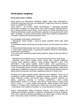 Verslo plano rengimas (2)