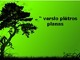 Verslo plėtros planas