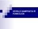 Verslo samprata ir funkcijos