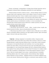 Lietuvos jaunimo emigracija priežastys ir pasekmės 2