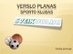 Sporto klubo verslo planas skaidrės