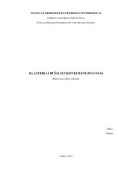 Klasteriai ir šalies konkurencingumas referatas 1