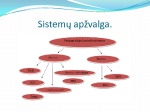 Padangų kontrolės sistemos 3