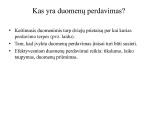 Duomenų perdavimo sistemos skaidrės 3