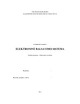Elektroninė balsavimo sistema