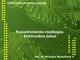Puslaidininkinės medžiagos. Elektronikos įtaisai